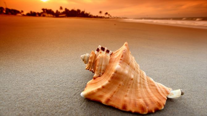 見ているだけで幸せになれる世界中の美しいビーチ 海 画像 ページ 2 Ailovei