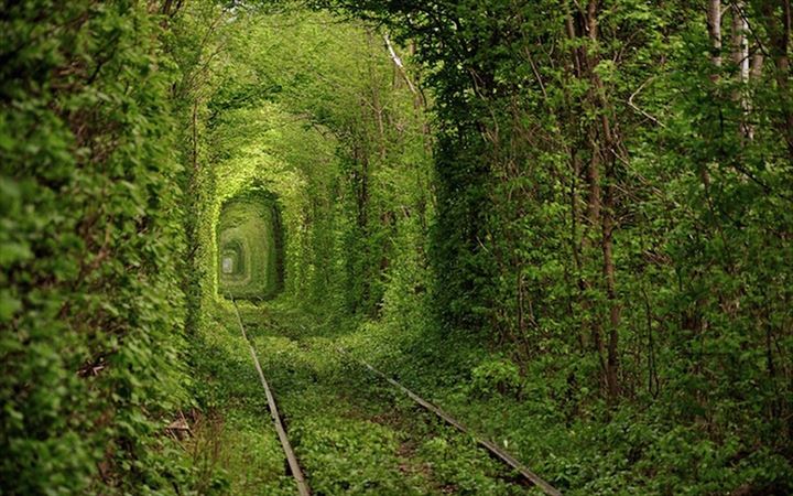 美しいトンネル 1