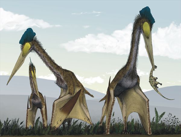 不気味で怖い絶滅した古代生物30選 恐竜ほか巨大生物の画像 ページ 2 Ailovei
