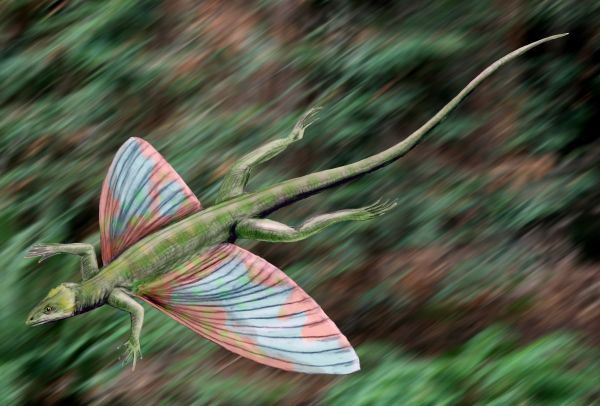 不気味で怖い絶滅した古代生物30選 恐竜ほか巨大生物の画像 Ailovei