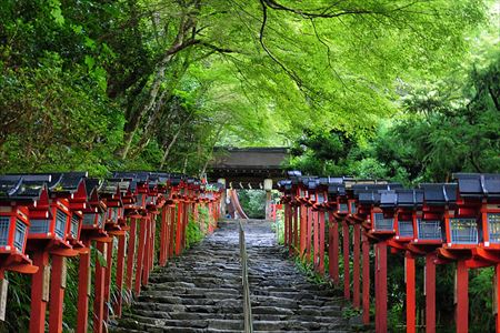 外国人に聞いた日本の好きな所 嫌いな所 Ailovei