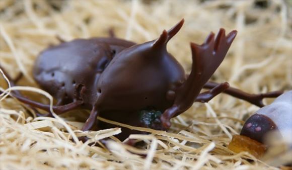 チョコレートデコレーション 29