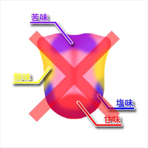 人体の驚くべき雑学48選 人間の不思議 Ailovei