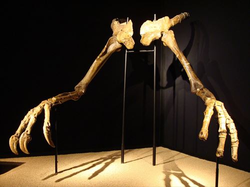 インキシヴォサウルス