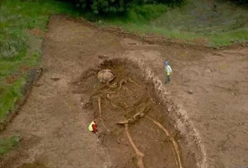 ほとんど嘘 発見された巨人の骸骨 12種 Ailovei