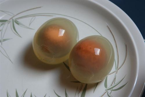一生食べられないかも 食用の変わった珍しい卵 8種 Ailovei