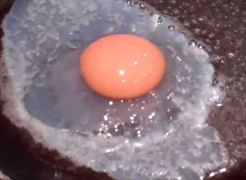 一生食べられないかも 食用の変わった珍しい卵 8種 Ailovei