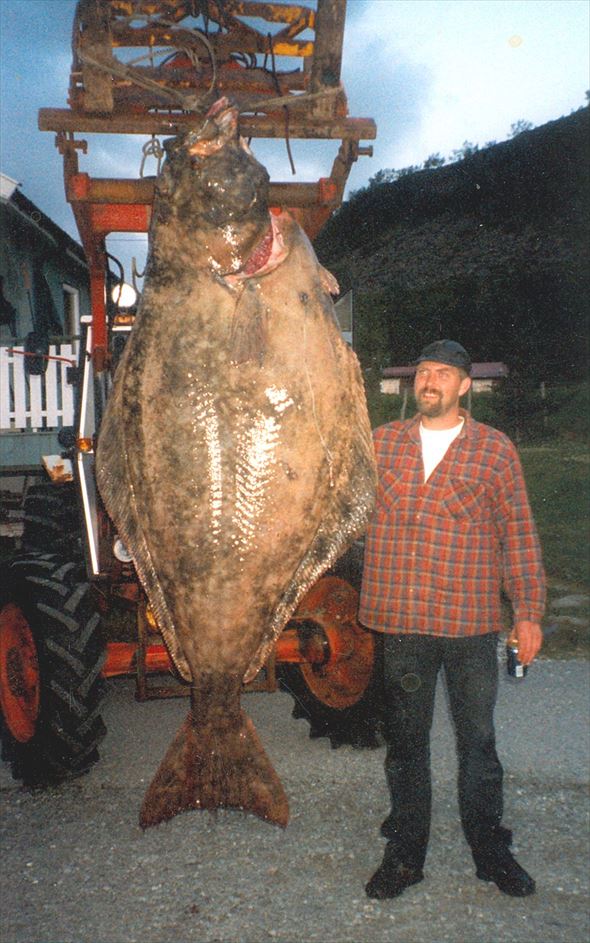 釣り人が釣った史上最大の魚 29種 Ailovei